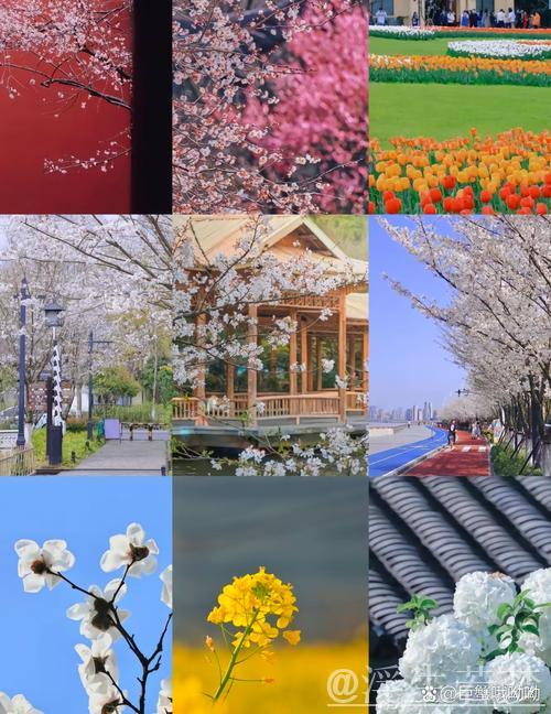 清明假期文旅融合热点：春游赏花观景成消费新亮点